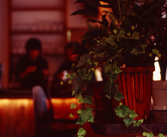 京都北山のダイニングカフェ・バリガシ［cafe bali gasi］ 暖かみのある内装の店内